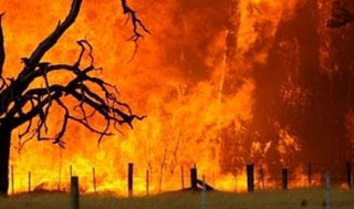 Bushfire protection